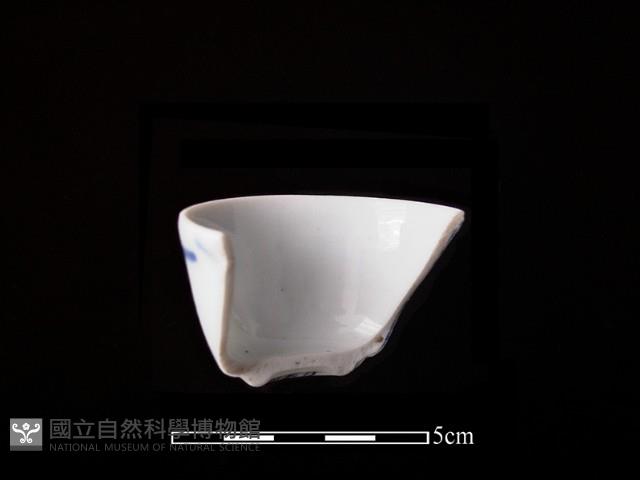 瓷杯藏品圖，第2張