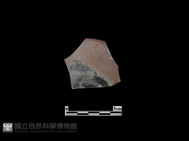 陶罐藏品圖，第2張