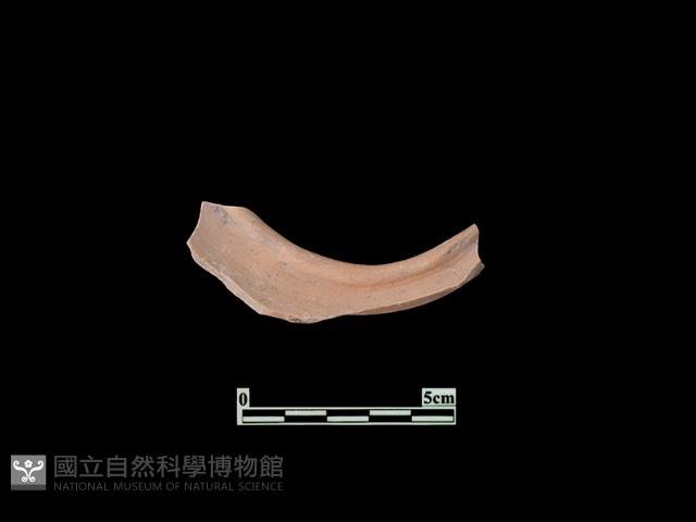 陶片藏品圖，第2張