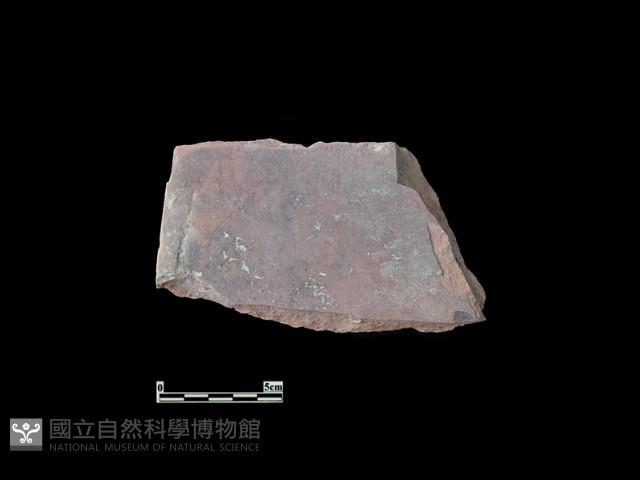 磚藏品圖，第2張