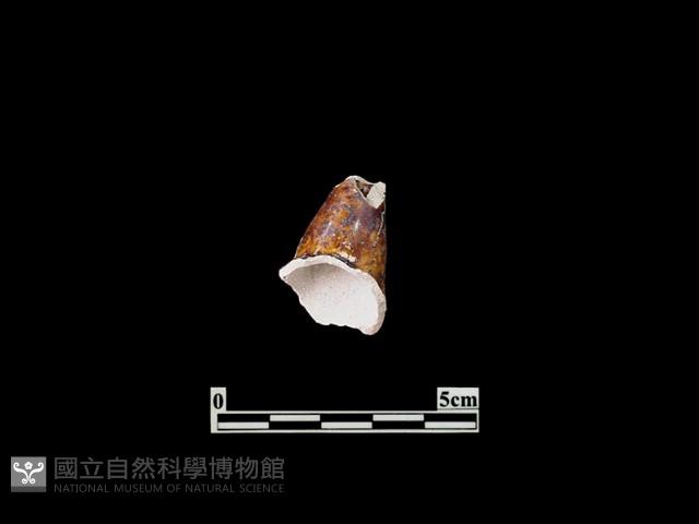 陶壺藏品圖，第1張