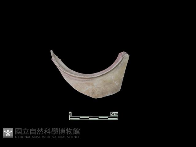 陶片藏品圖，第1張