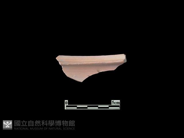 陶片藏品圖，第2張