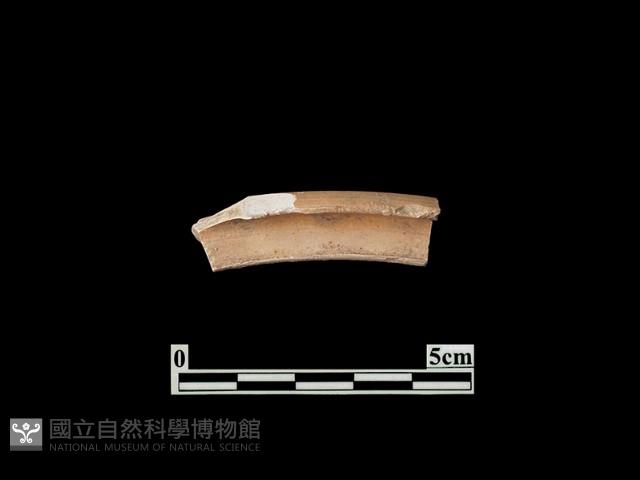 陶片藏品圖，第2張