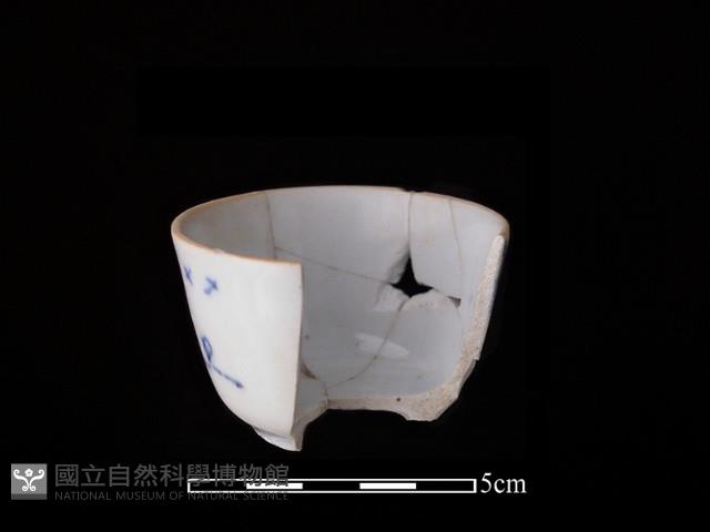 瓷杯藏品圖，第2張
