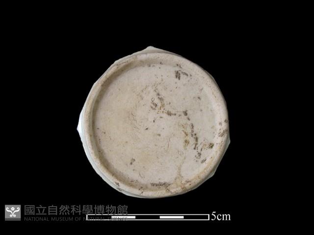 瓷碟藏品圖，第1張