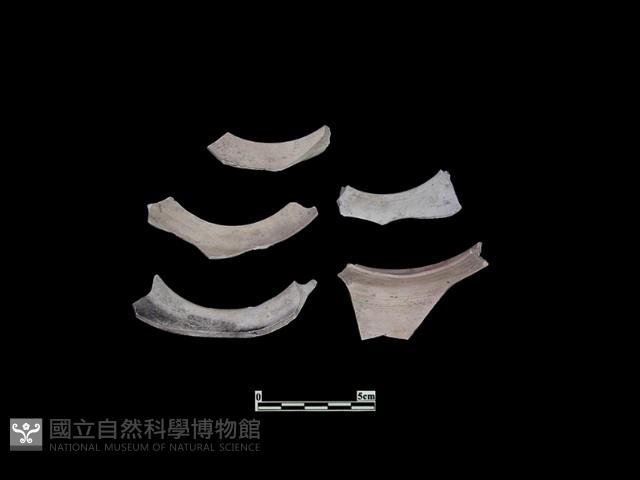 陶片藏品圖，第1張