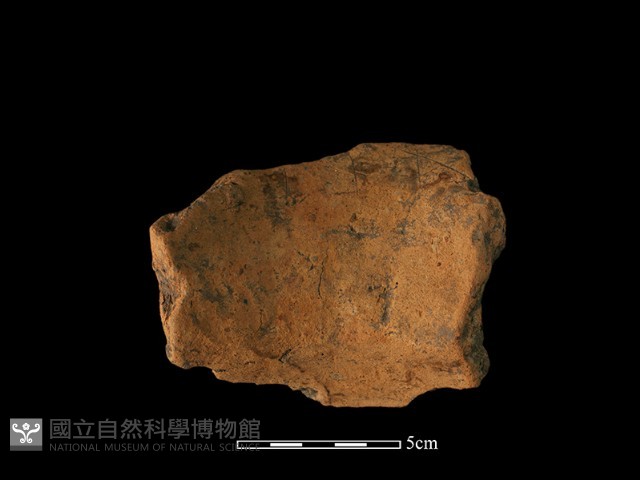 口緣殘片藏品圖，第3張