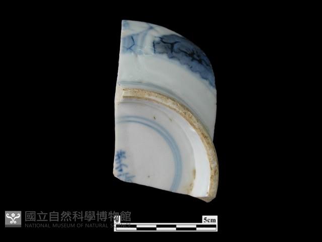 帶款飾瓷片藏品圖，第2張