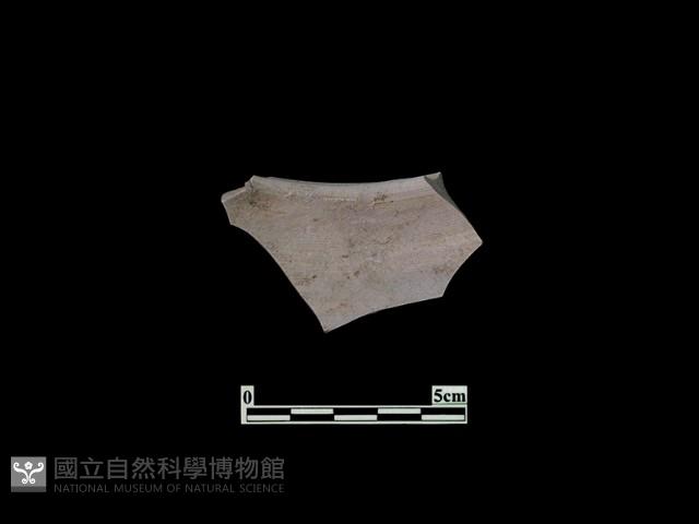 陶片藏品圖，第2張