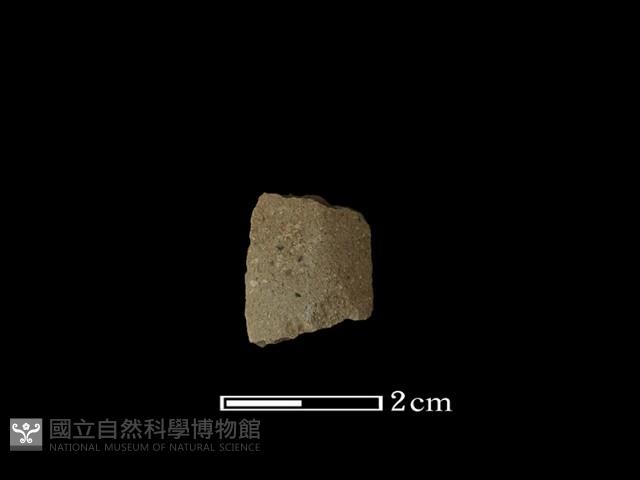 矛鏃形器藏品圖，第2張