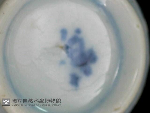 帶款飾瓷片藏品圖，第2張