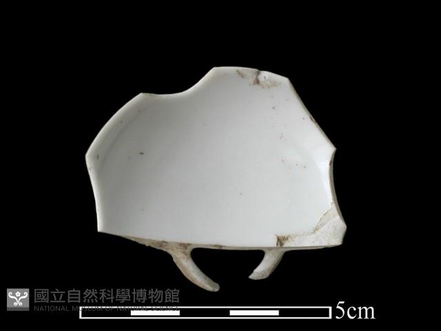 瓷碗藏品圖，第1張