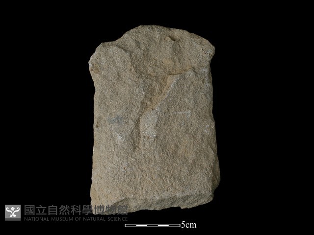 打製石器藏品圖，第1張