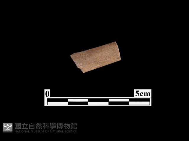 骨器藏品圖，第1張