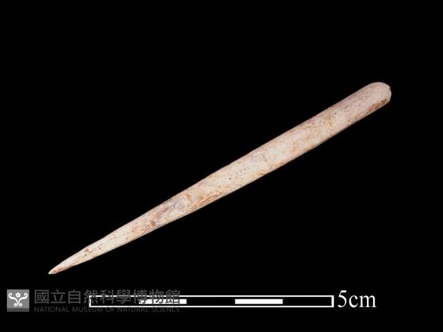 骨簪藏品圖，第1張