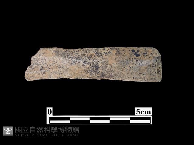 骨器藏品圖，第1張