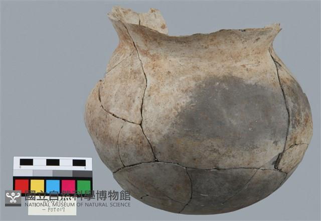 罐形器藏品圖，第1張