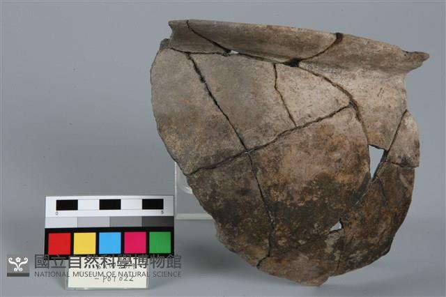 罐形器藏品圖，第1張