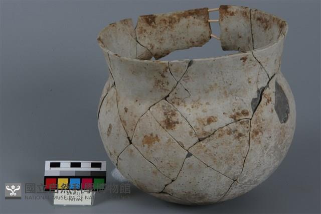 罐形器藏品圖，第1張