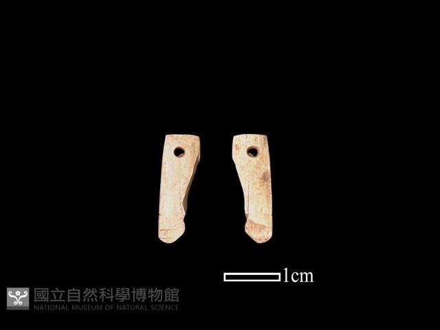 骨飾藏品圖，第1張