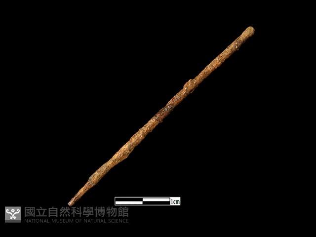 鐵針藏品圖，第1張