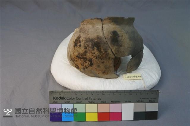 陶罐藏品圖，第1張