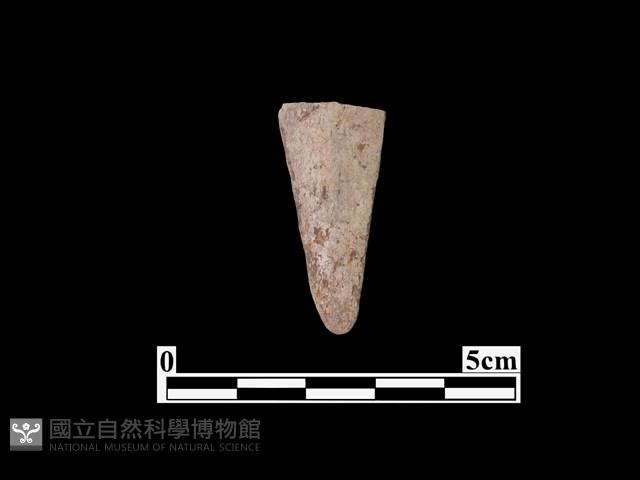 骨器藏品圖，第1張