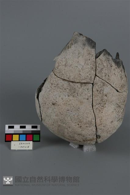 Accession Number:SKW2019-POT018 Collection Image, Figure 1, Total 4 Figures