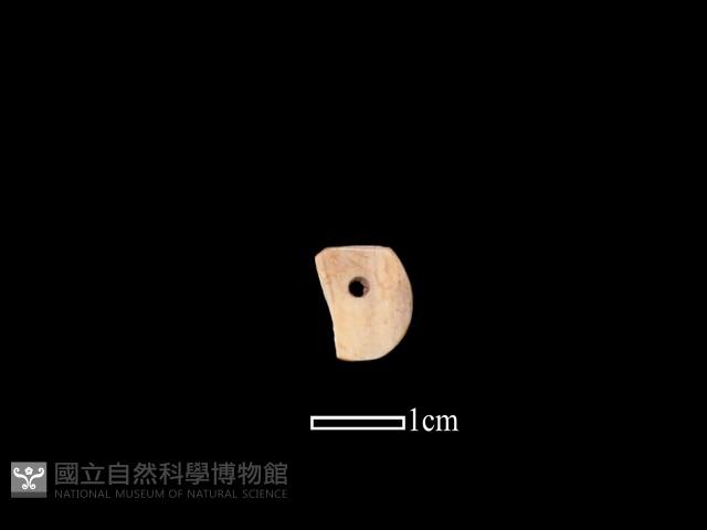 骨飾藏品圖，第1張