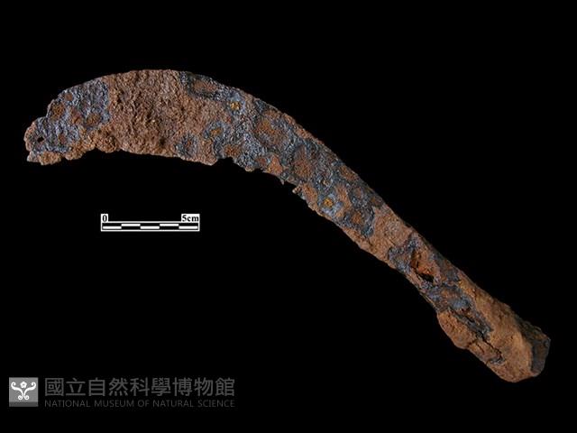 鐮刀藏品圖，第1張