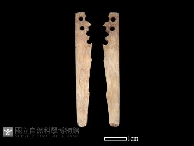 骨簪藏品圖，第1張