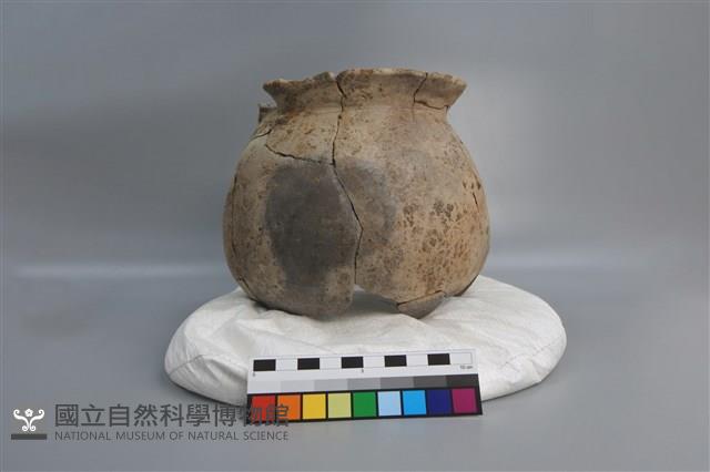 陶罐藏品圖，第1張
