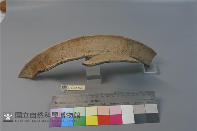 陶罐藏品圖，第1張