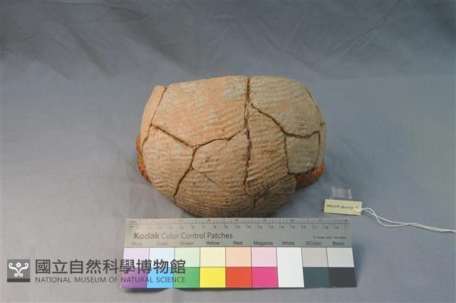 陶罐藏品圖，第1張