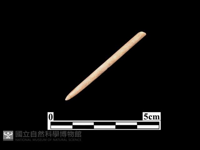 骨針藏品圖，第1張