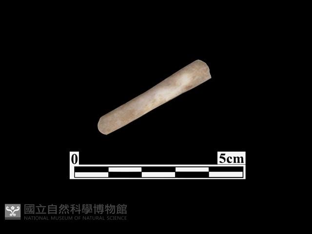 骨器藏品圖，第1張