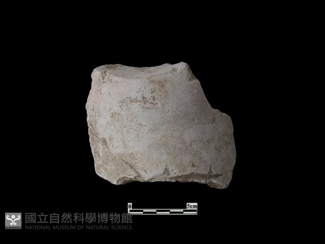 火爐藏品圖，第1張