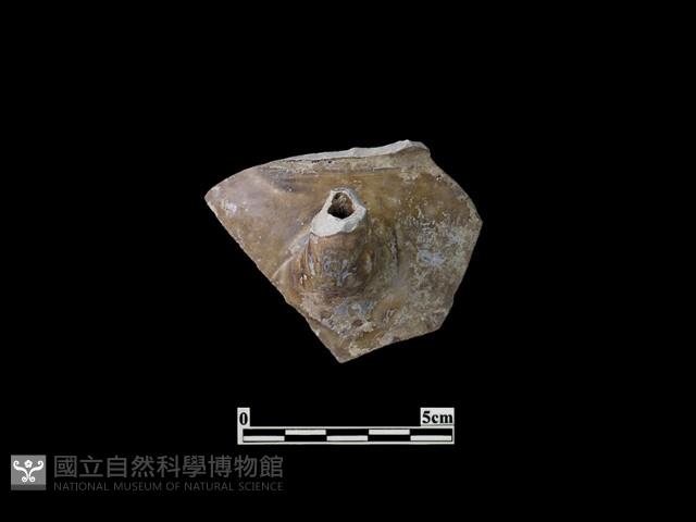 陶壺藏品圖，第2張