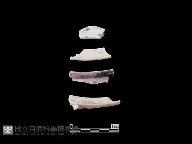 陶片藏品圖，第1張