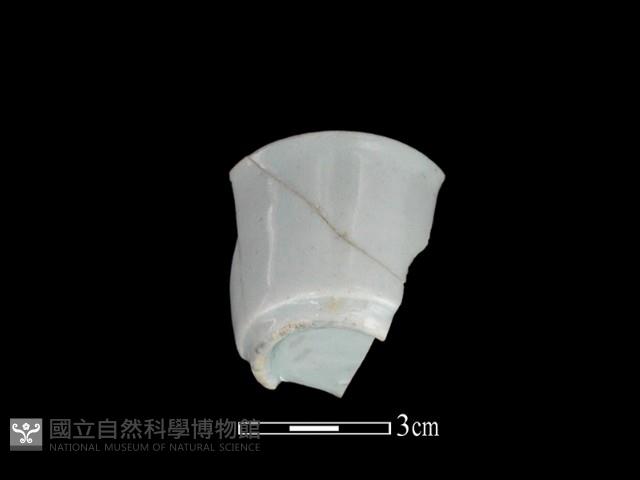 瓷杯藏品圖，第1張