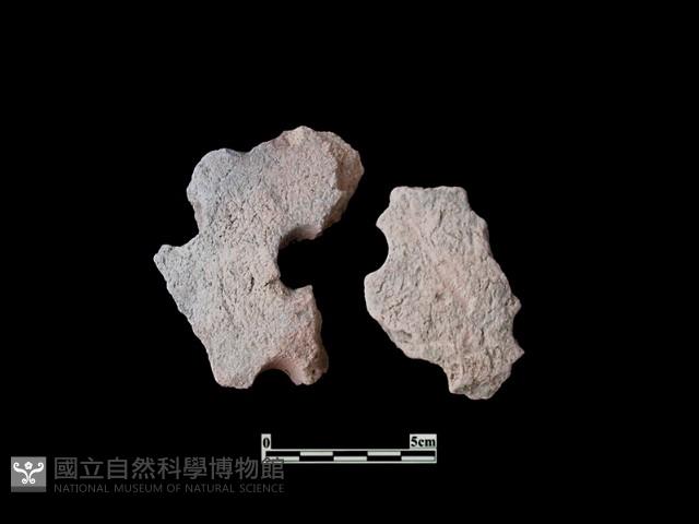 火爐藏品圖，第1張