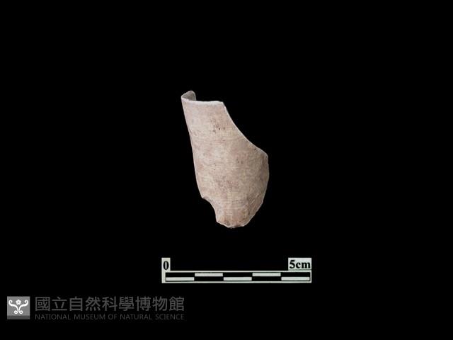 陶杯藏品圖，第1張