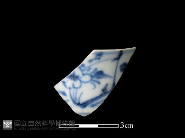 瓷杯藏品圖，第1張