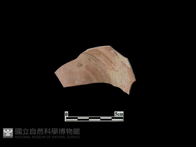 Accession Number:PTT-SP30 Collection Image, Figure 1, Total 2 Figures