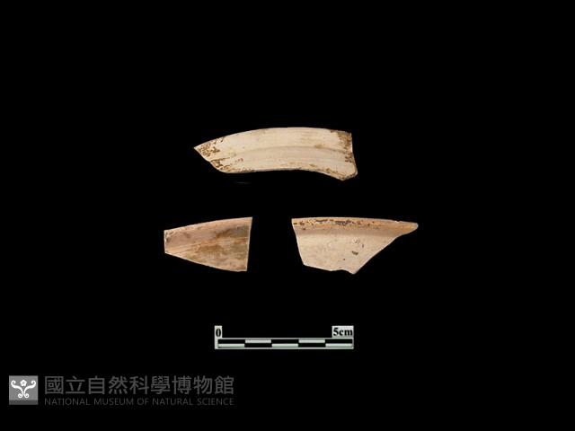 陶蓋藏品圖，第1張