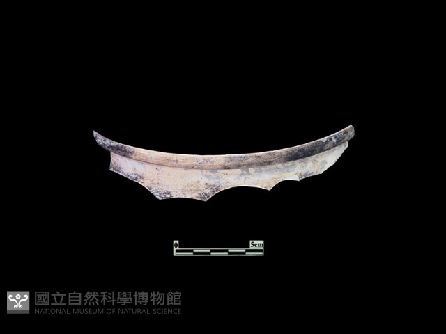 陶片藏品圖，第1張