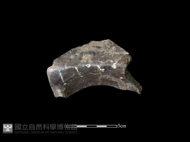 玻璃器藏品圖，第1張