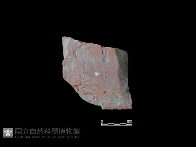 磚藏品圖，第2張