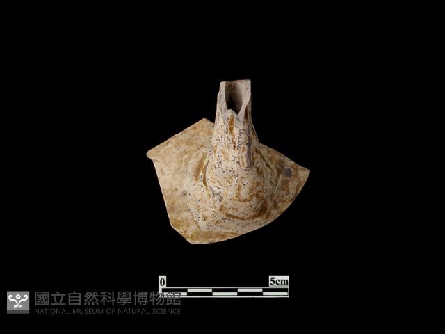 陶壺藏品圖，第2張